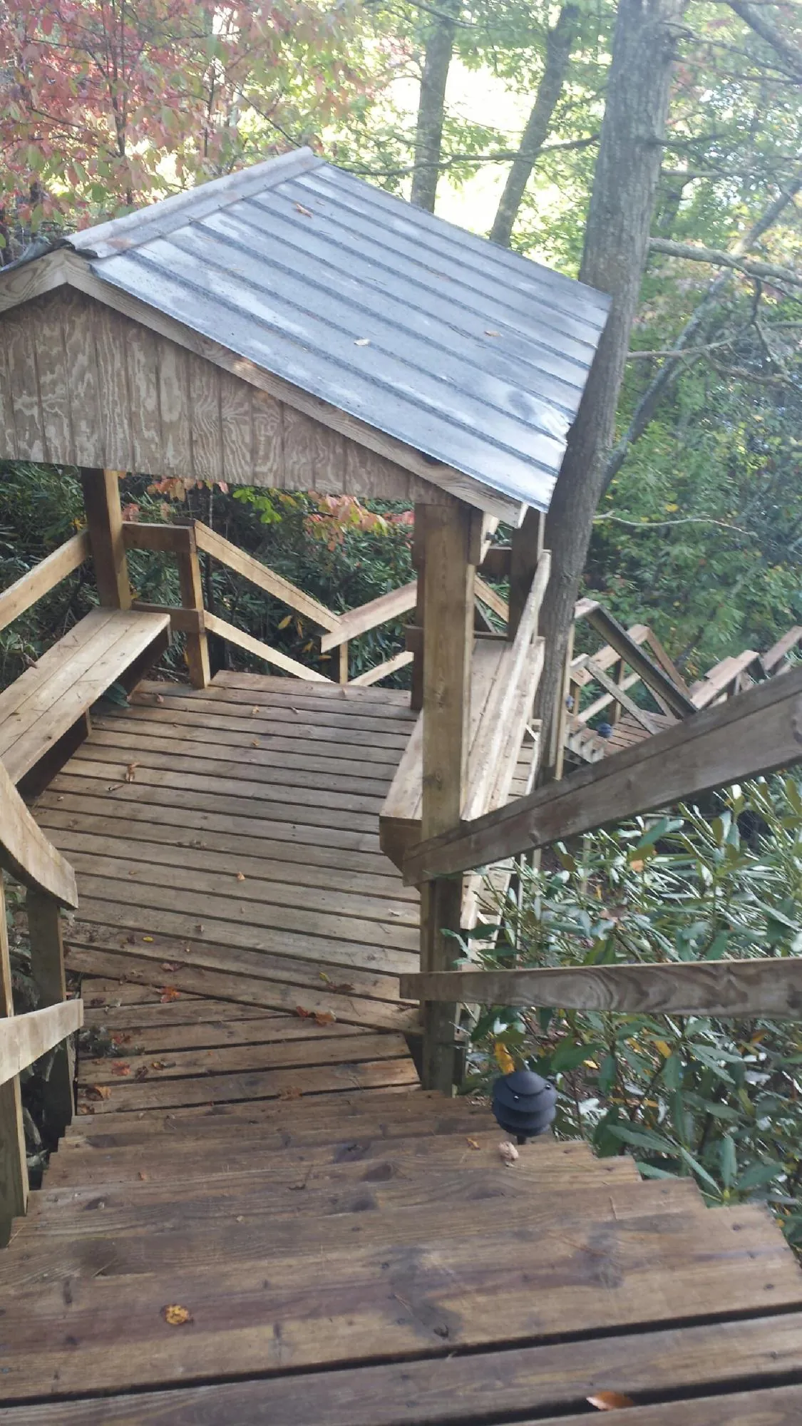 Metal roofed shelter over wooden steps on a wooded walkway — Skylight Repair & Installation work by our crew in Lester Prairie